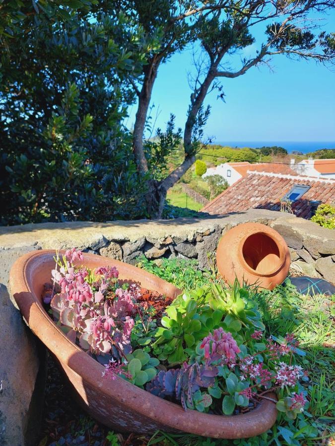Vila Casas Do Tareco Biscoitos  Exteriér fotografie